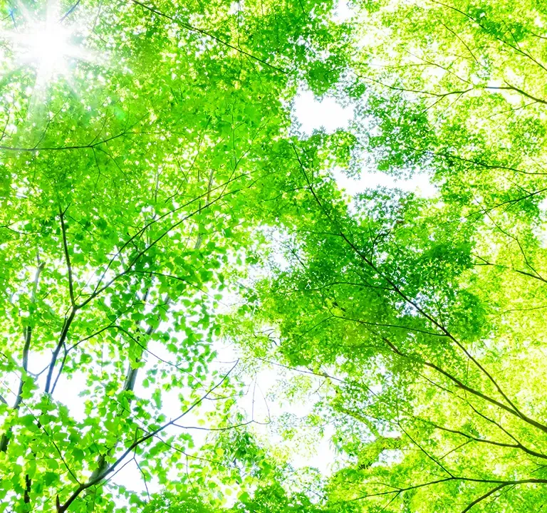 墓地管理費の負担なく最後の方まで安心してご使用が可能