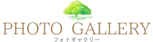 ギャラリー