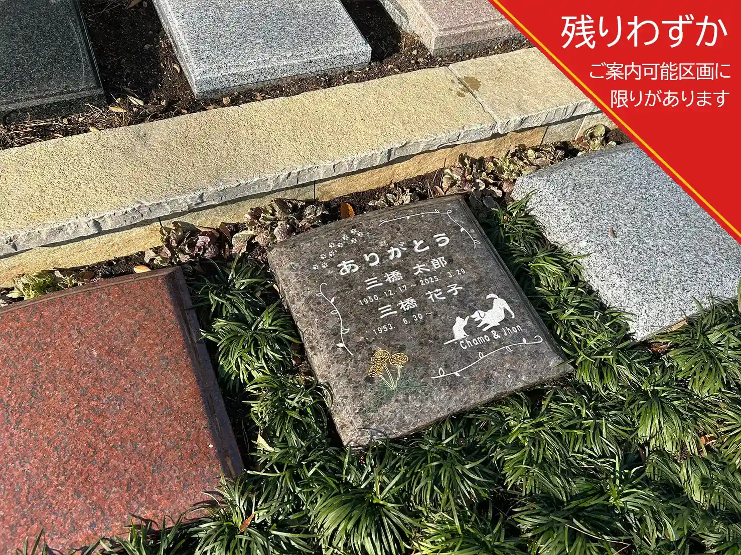 縁プラン