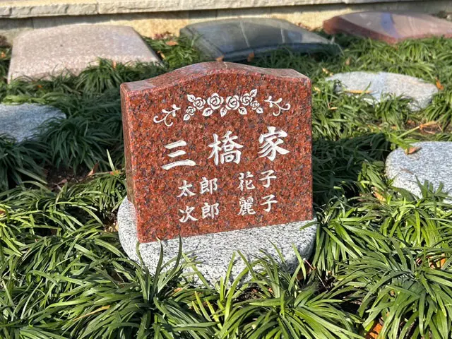 想プラン