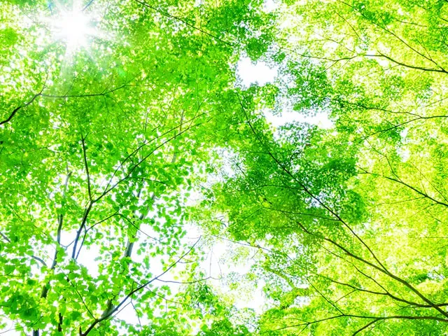 宗教不問で檀家制度無し好きな時間、好きなタイミング自由に参拝いただけます