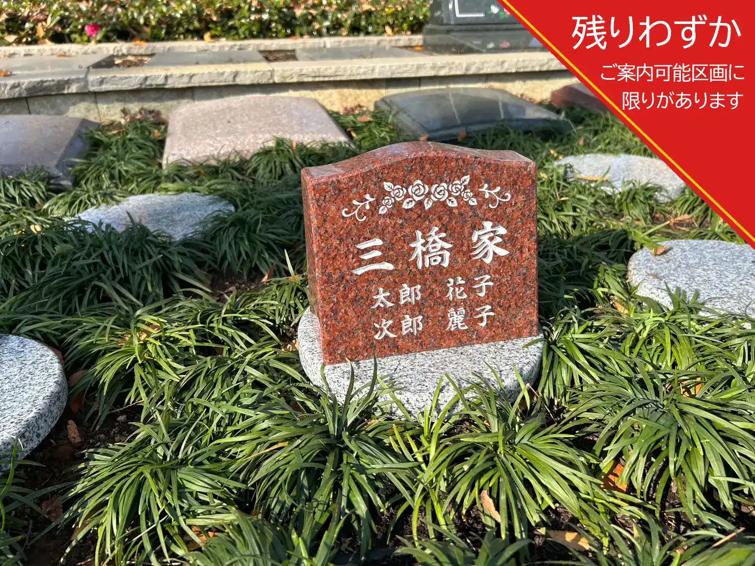 想プラン