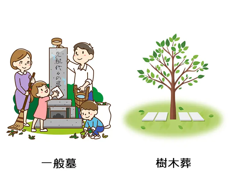 一般墓とは？費用やメリット・注意点、樹木葬との違いをわかりやすく解説